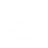 Sportfish Galapagos